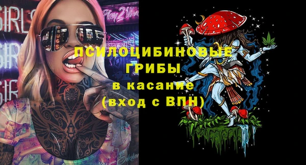 a pvp Белокуриха
