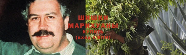 a pvp Белокуриха