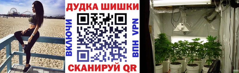 hydra онион  Севск  Бошки марихуана план 
